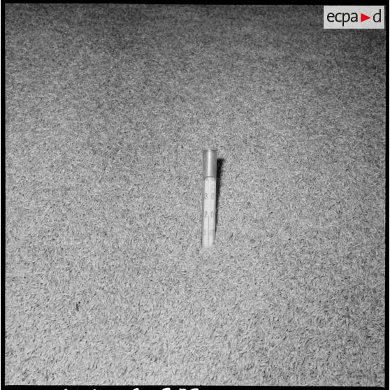 Usine de fabrication de la bière "La Gauloise". L'orge entreposé pour mûrir.