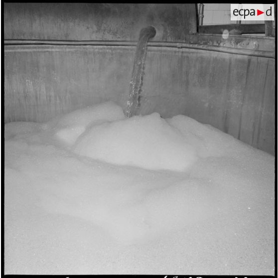 Usine de fabrication de la bière "La Gauloise". Brassage de l'orge.