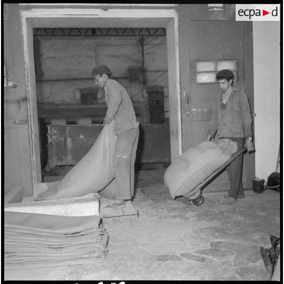 Usine de fabrication de la bière "La Gauloise". Arrivée de l'orge.