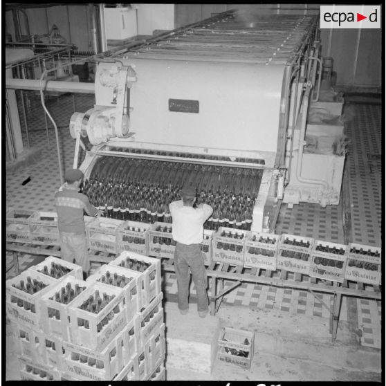 Usine de fabrication de la bière "La Gauloise". Lavage automatique des bouteilles vides.