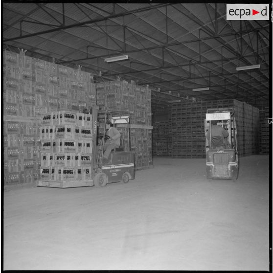 Usine de fabrication de la bière "La Gauloise". Rangement des caisses de bière.