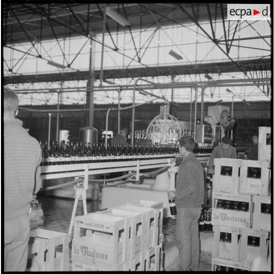 Usine de fabrication de la bière "La Gauloise". Les machines de remplissage des bouteilles.
