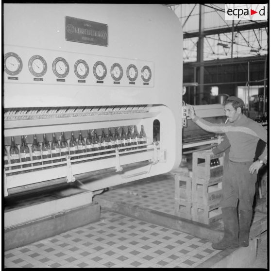 Usine de fabrication de la bière "La Gauloise". Les machines de remplissage des bouteilles.
