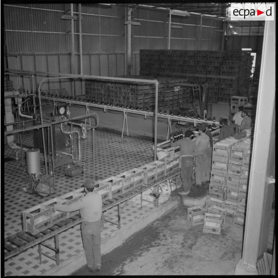 Usine de fabrication de la bière "La Gauloise". Préparation des caisses et mise en bouteille.