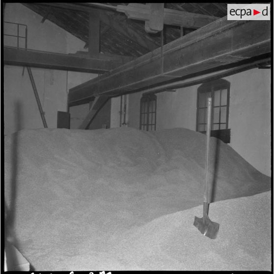 Usine de fabrication de la bière "La Gauloise". Arrivée de l'orge.