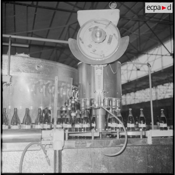 Usine de fabrication de la bière "La Gauloise". Les machines de remplissage des bouteilles.
