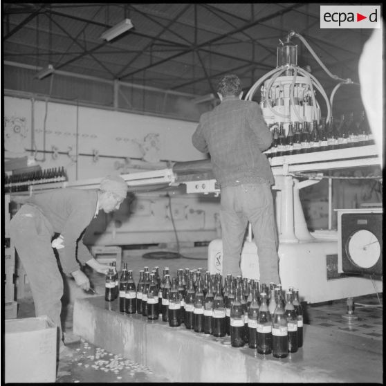 Usine de fabrication de la bière "La Gauloise". Les machines de remplissage des bouteilles.