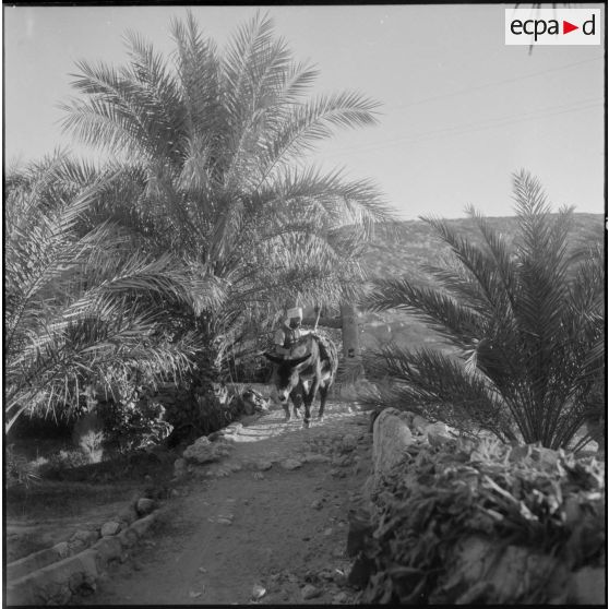 Lagouat. Puits ancien type "Adalou".