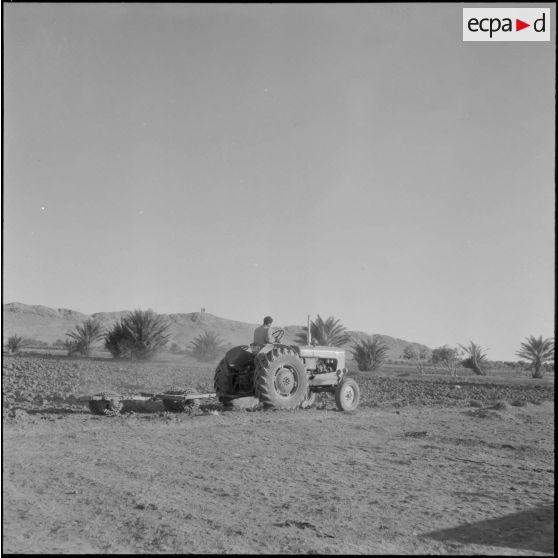 Lagouat. Un tracteur labourant une bande de terre.