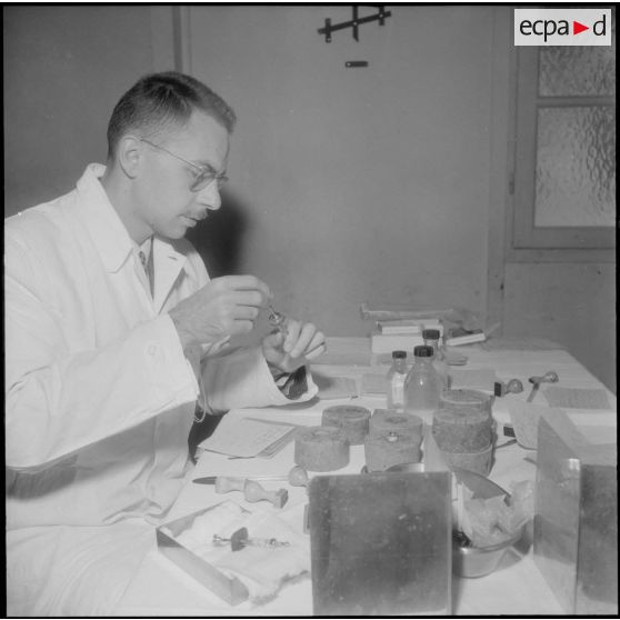 Maison Carrée. Un médecin prépare les vaccins BCG.
