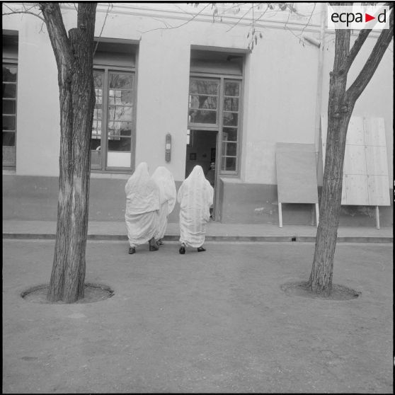 Référendum sur l'autodétermination. Bureau de vote réservé aux femmes, dans l'Ecole de Staoueli.
