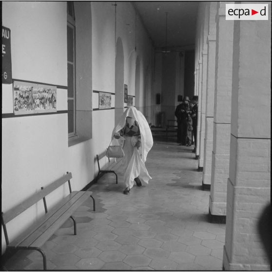 Alger. Référendum sur l'autodétermination. Un bureau de vote dans la casbah.