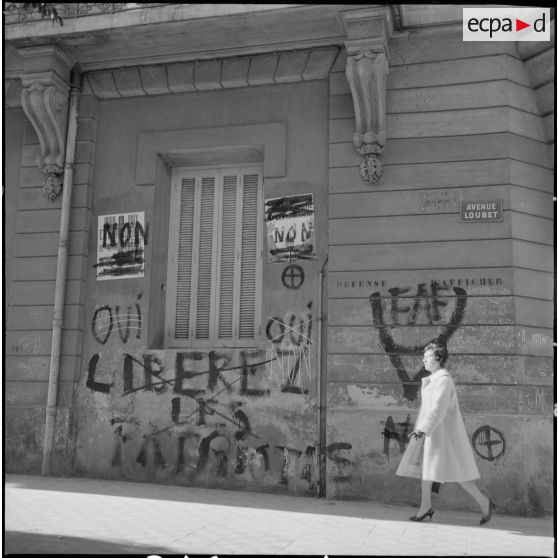 Oran. Référendum sur l'autodétermination. Les slogans inscrits sur le mur d'un immeuble dans l'avenue Loubet.