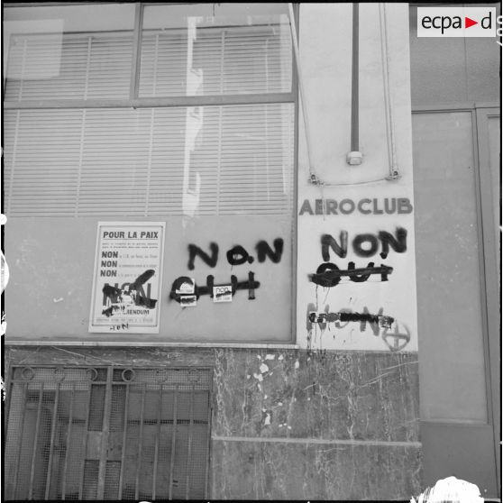 Oran. Référendum sur l'autodétermination. Les slogans inscrits sur le mur d'un immeuble.