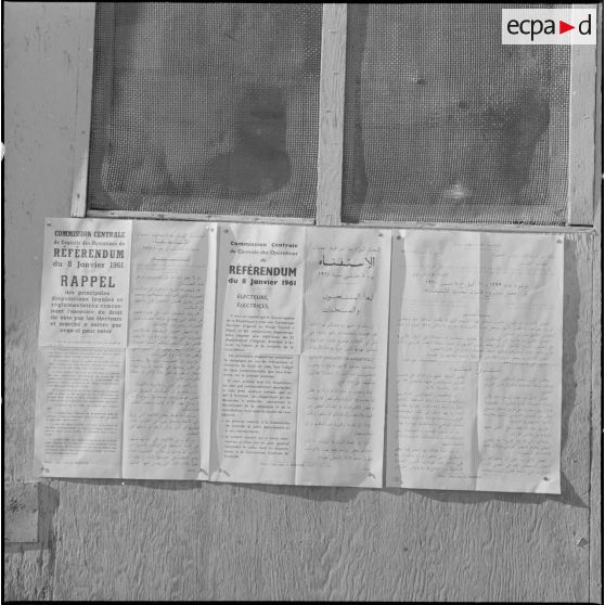 Oran. Référendum sur l'autodétermination. Affiches expliquant les modalités du vote en langue française et en langue arabe.