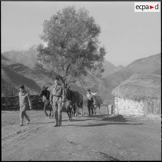 Poste d'Agmoune. 5e compagnie du 57e régiment d'infanterie (RI). Le muletier du poste d'Agmoune.