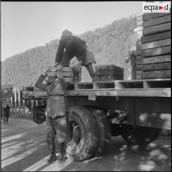 Région de Perrégaux. Chargement d'un camion pour l'usine.