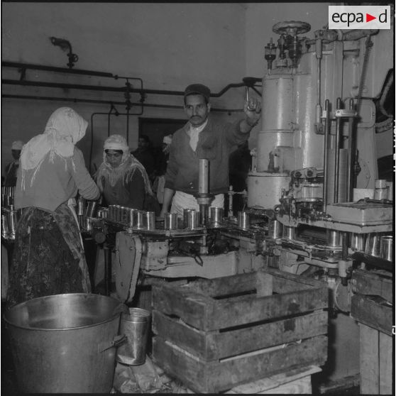 Relizane. Confiturerie Escla. Machine à saisir les boîtes de confiture.