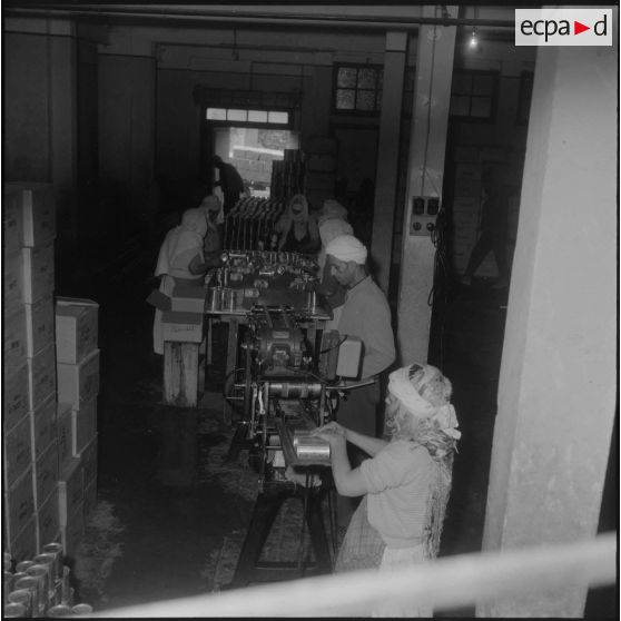 Relizane. Confiturerie Escla. Etiquetage des boîtes de confiture à la machine.