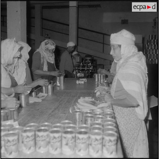 Relizane. Confiturerie Escla. Etiquetage des boîtes de confiture à la main et à la machine.