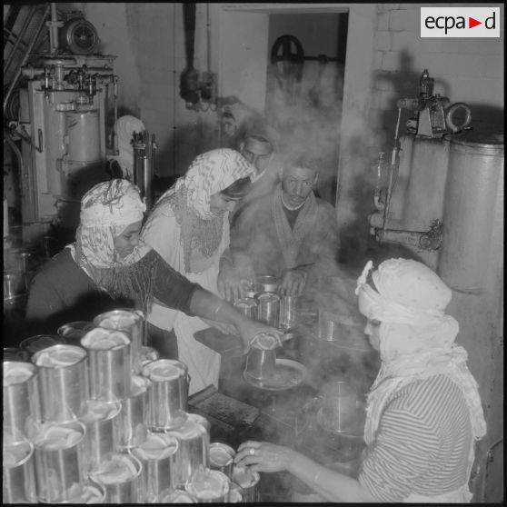 Relizane. Confiturerie Escla. Préparation des fruits pour confectionner la confiture.