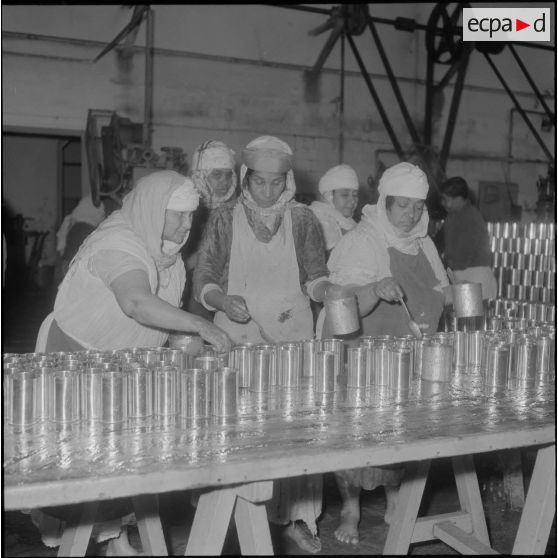 Relizane. Confiturerie Escla. Remplissage des boîtes de confiture.