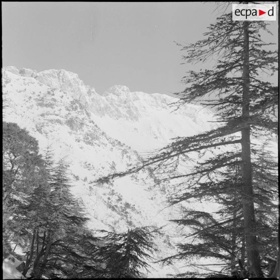 Tikjda. Site. Le Mas Timedoine.