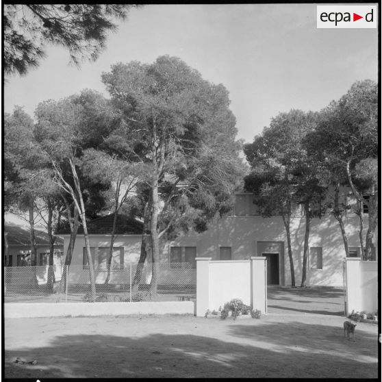 Sidi Ferruch. Colonie de vacances pour les orphelins des anciens prisonniers de guerre.