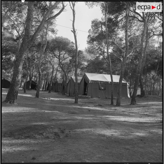 Tentes dans la forêt de Sidi Ferruch.