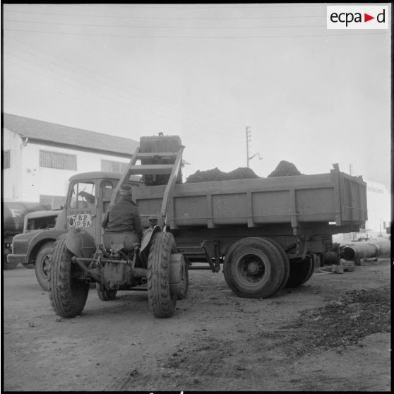 Alger. Travaux pour installer les tubes qui amèneront le gaz d'Hassi R'Mel pour la ville d'Alger.