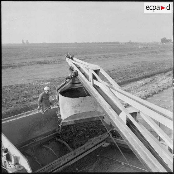 Aérodrome de Maison Blanche. Chantier de la nouvelle piste Est-Ouest en béton précontraint. Ensemble du paveur et de la repoudreuse automatique.