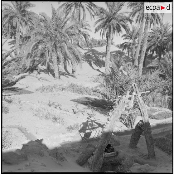 Ouled Sayah. Un puits dans une oasis.