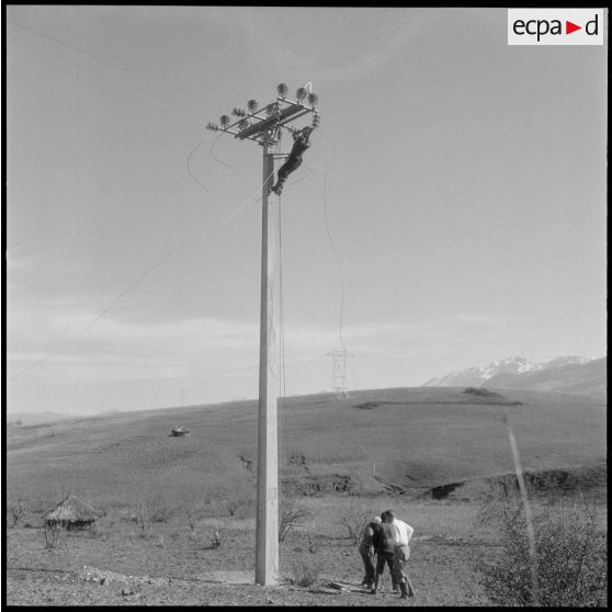 Région d'Alger. Placement des fils sur les poteaux.