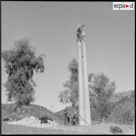 Région d'Alger. Placement des fils sur les poteaux.