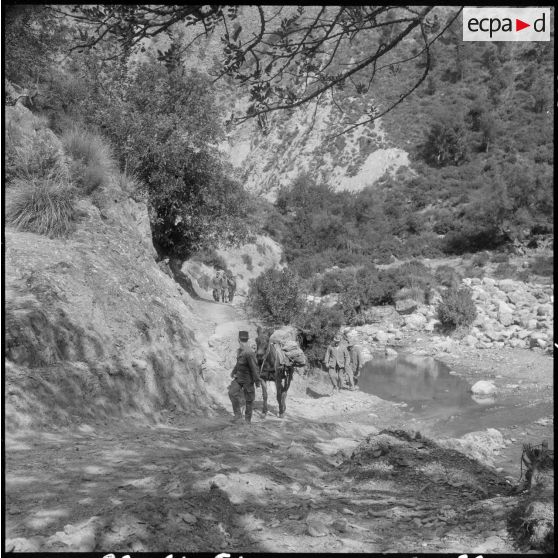 Chaîne des Babors. 69e bataillon du génie (BG). Caravane de mules chargées de sable.