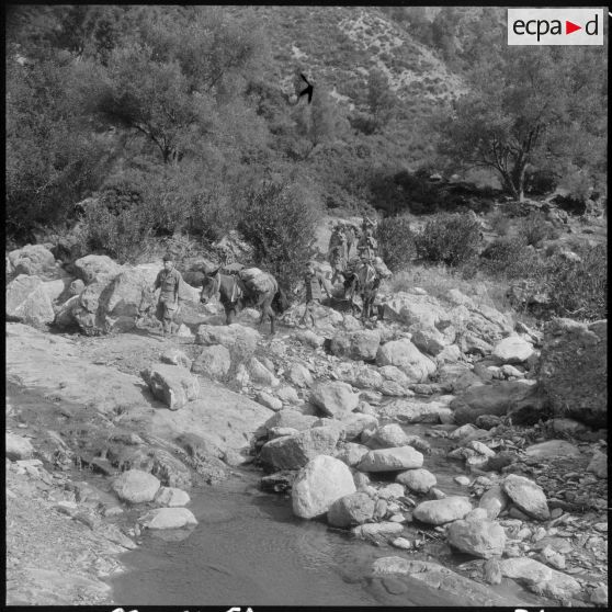 Chaîne des Babors. 69e bataillon du génie (BG). L'apport du sable à dos de mulet.