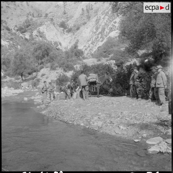 Chaîne des Babors. 69e bataillon du génie (BG). Différentes opérations du chargement et du transport du sable à dos de mules.
