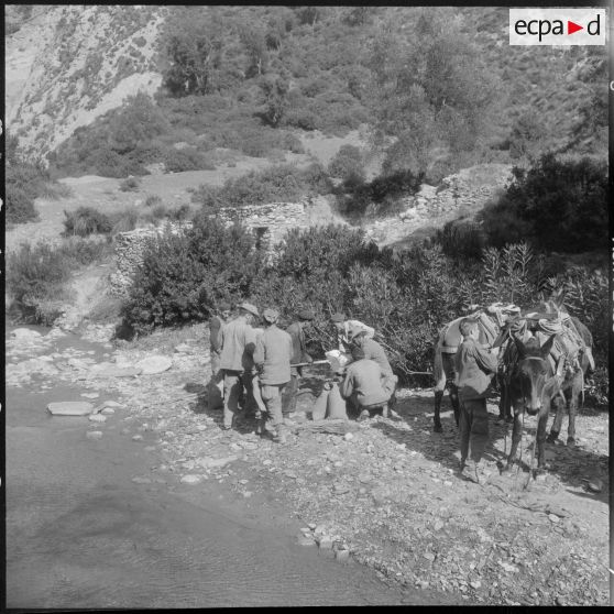 Chaîne des Babors. 69e bataillon du génie (BG). Différentes opérations du chargement et du transport du sable à dos de mules.
