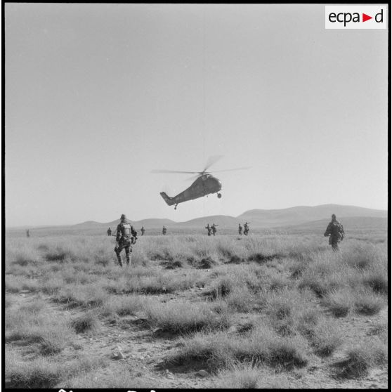 Région de Geryville. Groupement des commandos de marine en opération. Travail avec les hélicoptères.