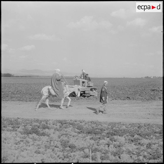 Attafs. Centre de formation professionnelle agricole (CFPA). Des élèves apprenant à conduire les engins agricoles sur le terrain.