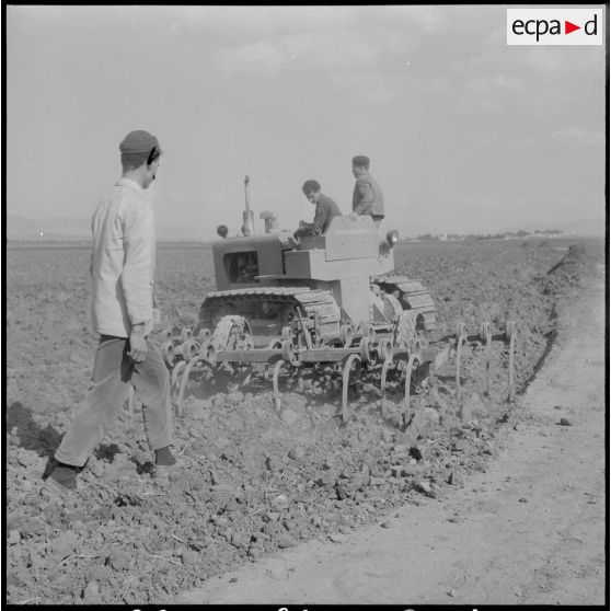 Attafs. Centre de formation professionnelle agricole (CFPA). Des élèves apprenant à conduire les engins agricoles sur le terrain.