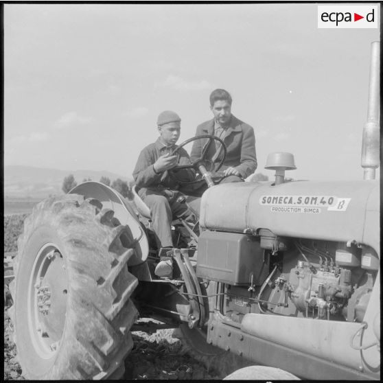 Attafs. Centre de formation professionnelle agricole (CFPA). Un élève apprenant à conduire un tracteur.