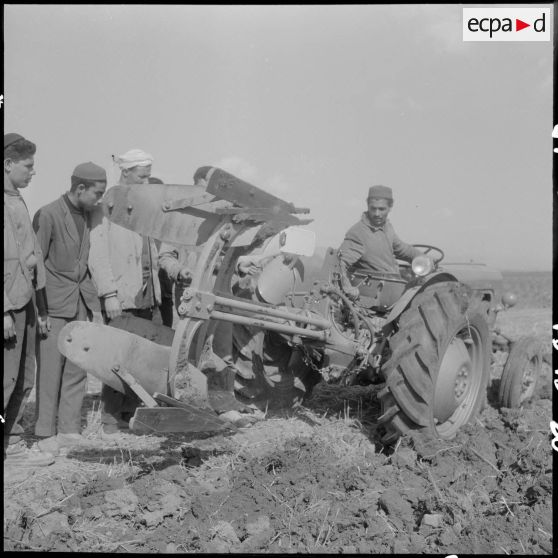 Attafs. Centre de formation professionnelle agricole (CFPA). Les élèves observent le travail d'un engin.