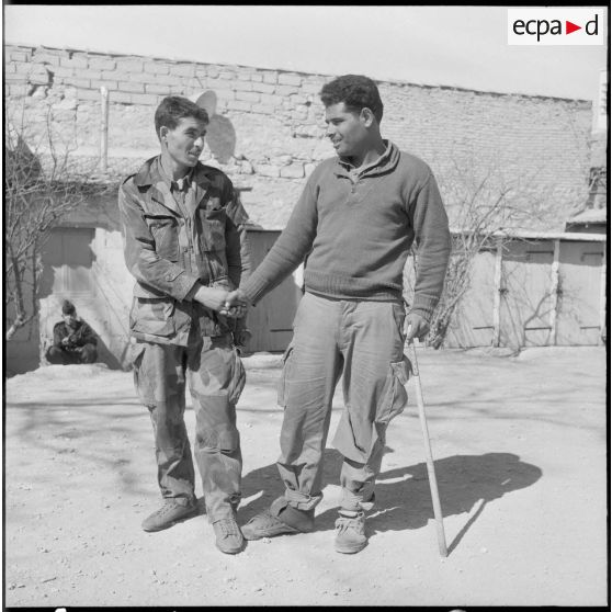 Negrine. Deux prisonnier rebelles se serrent la main.