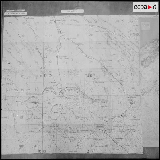 Alger. Carte de l'opération aéroportée Ichtyosaure 1er Violet.