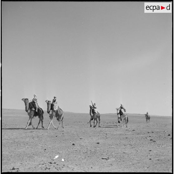 Mariksen. Bordj de Messouda. Présentation du 2e peloton méhariste. Fantasia.