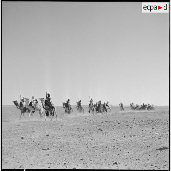 Mariksen. Bordj de Messouda. Présentation du 2e peloton méhariste. Fantasia.