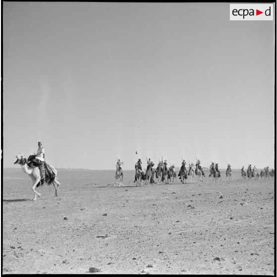 Mariksen. Bordj de Messouda. Présentation du 2e peloton méhariste. Fantasia.