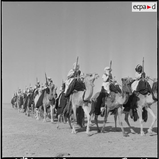 Mariksen. Bordj de Messouda. Présentation du 2e peloton méhariste. Fantasia.