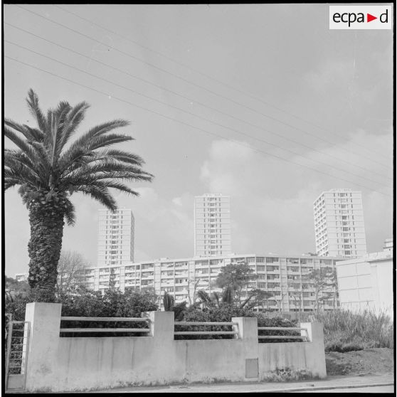 Bône. Construction de buildings.